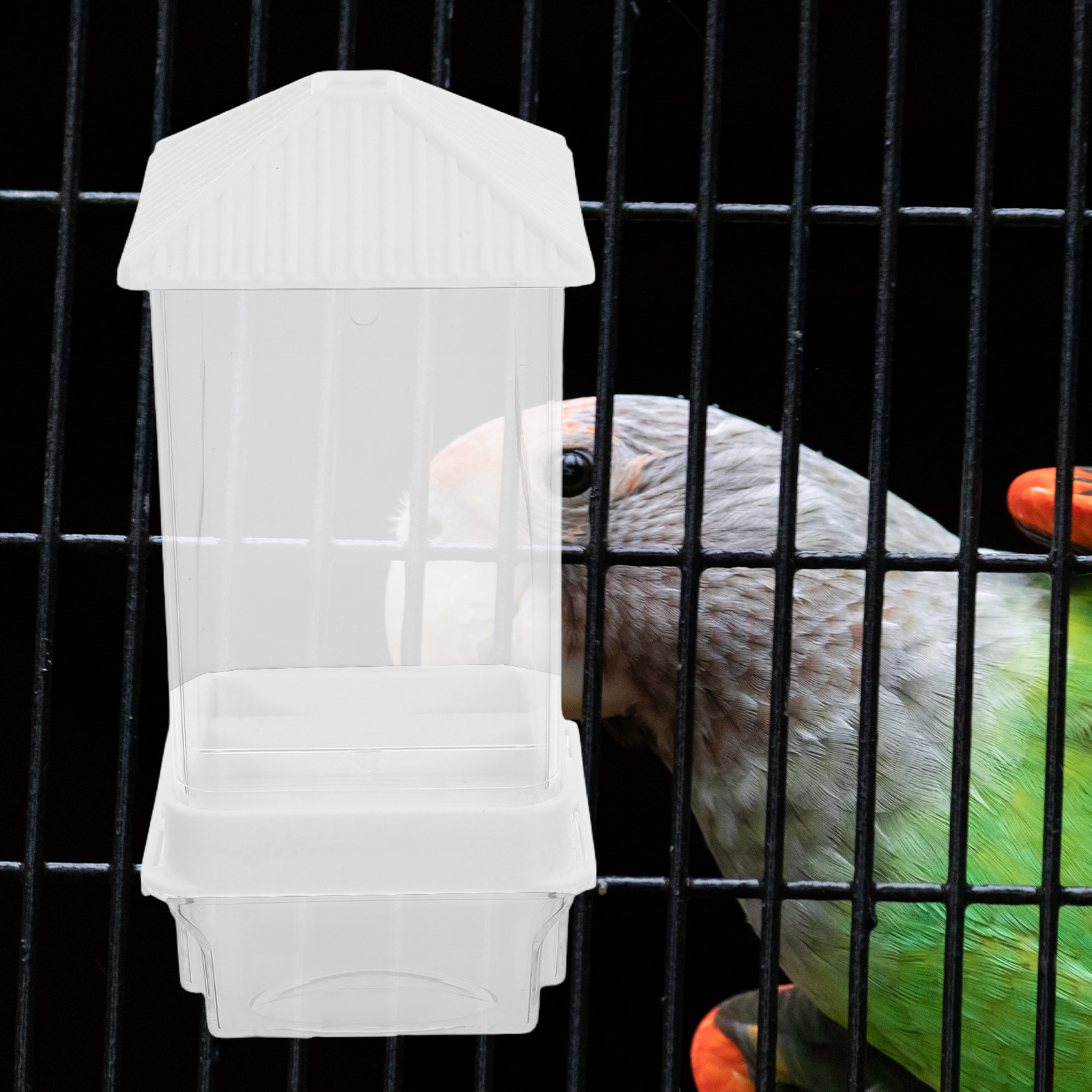 Automatische Vogelvoederbak va - Feeding recensie en prijs